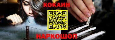 прущие крисы Гатчина