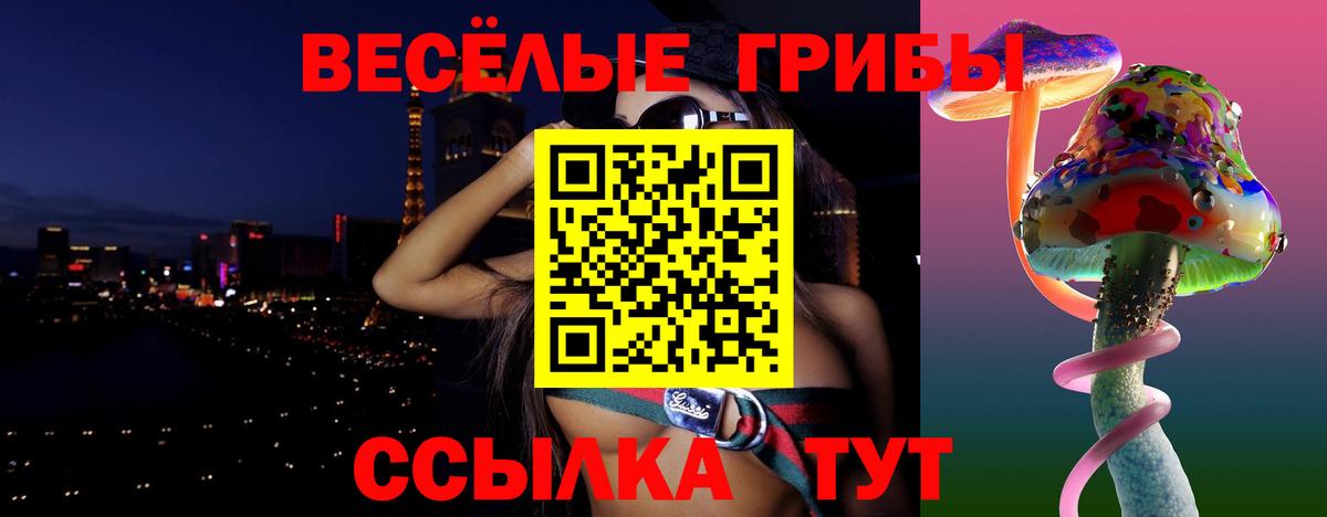 Бугульма  продажа наркотиков  Вход с VPN  Псилоцибиновые грибы прущие грибы 